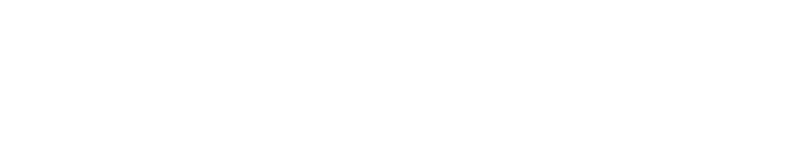 OSMO - Model powszechnej służby publicznej dla Polski
